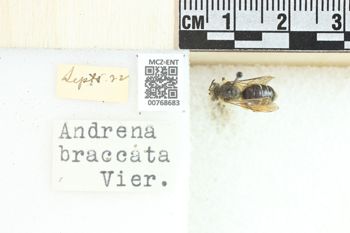 Media type: image;   Entomology 768683 Aspect: Labels